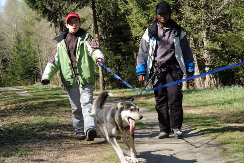 Il fait chaud et ça se voit sur la tête des huskies ! (Julien et Béty)