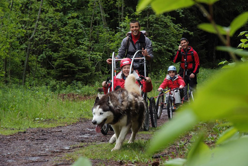 Grande partie de rigolade pour Antoine et Déborah dans les bois !