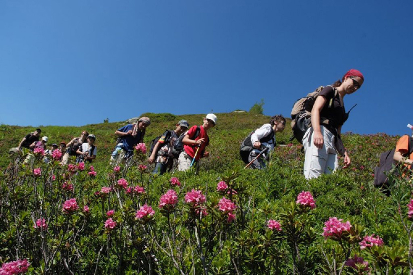 Foulant les rhododendrons du bout des pieds nous poursuivons notre périple