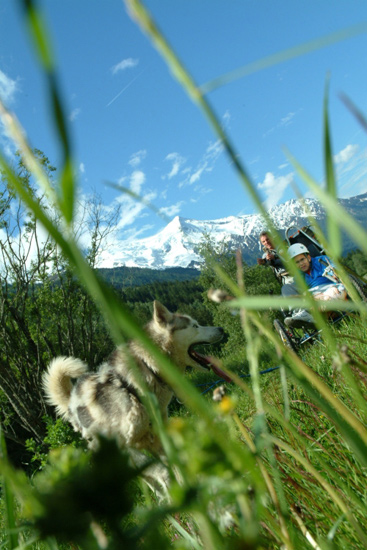 Musher en herbe, pilote déboussolé et chien de tête qui n’en fait qu’à sa tête ! (Yoyo et Nico)