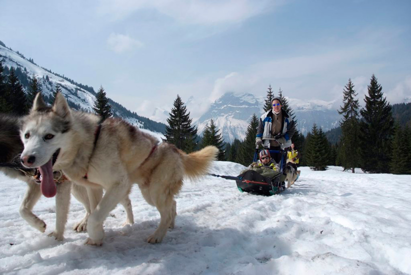 C’est comme si on faisait de la luge, mais tiré par des chiens ! (Youssef).