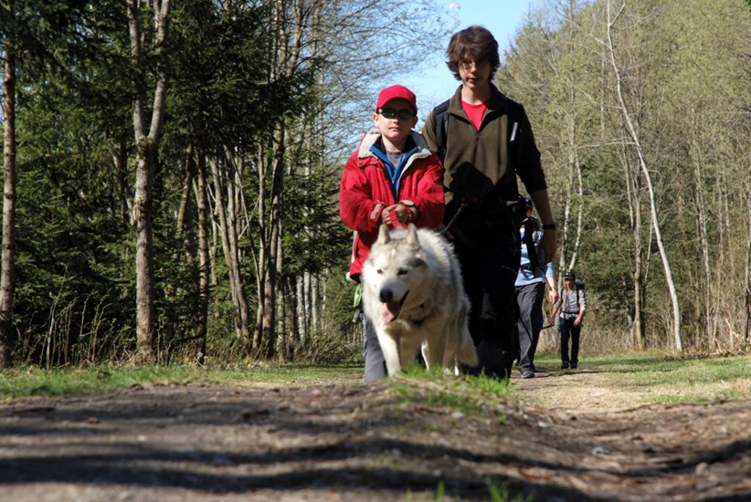 Ils sont quand même costauds ces chiens, ils ont deux champions à tirer derrière eux ! (Dimitri et Romain)