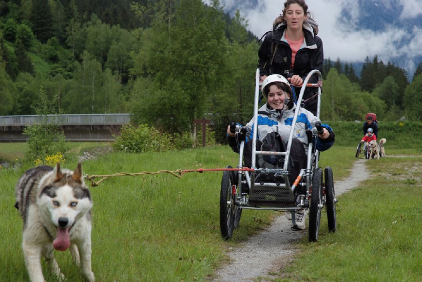 Tu as vu Cyndelle, il marche en crabe ton husky !