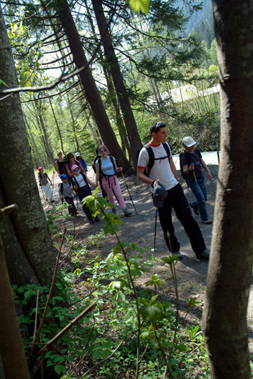 C’est le grand Sébastien qui guide notre petite troupe en forêt !