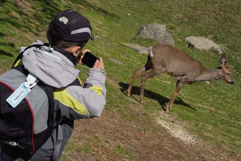 C’est déjà presque l’heure du retour ! Dernière petite photo des animaux ! Sébastien.