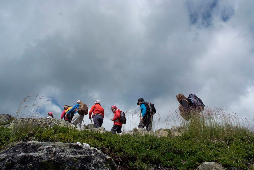 Le sentier semble de plus en plus escarpé ! Au loin, nous apercevons notre sommet !
