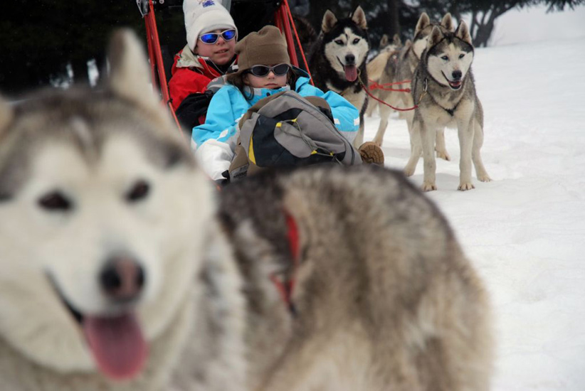 Anna et Antoine au Pays des Huskies !
