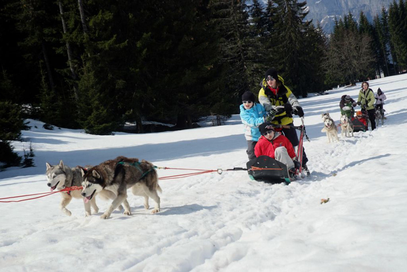 Les rois du sprint s’appellent Quentin, William et Tommy !