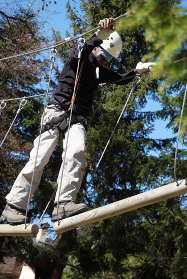 Tu penses à t’arrêter à un moment Brandy, où tu vas foncer dans un arbre !