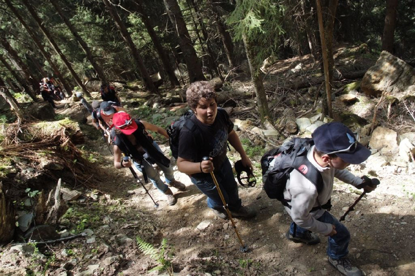 Bâton bien en main, nous progressons maintenant sur l’étroit sentier qui traverse le bois !