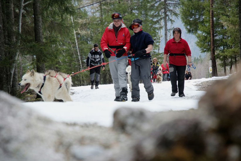 Ils sont forts ces huskies, ils nous promènent même sur la neige ! (Florian et Mike)