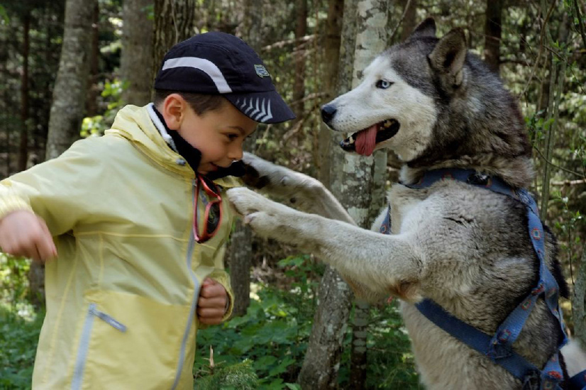 Début d’après-midi ! L’heure de retrouver nos compagnons de rando, les huskies ! Séb.