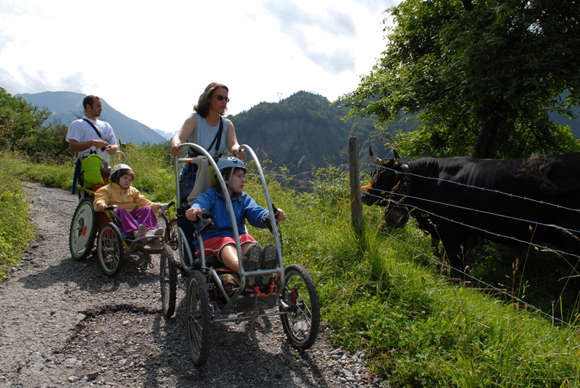 Un topo nous est dressé sur cette race de vache bagarreuse : y’a pas qu’elles