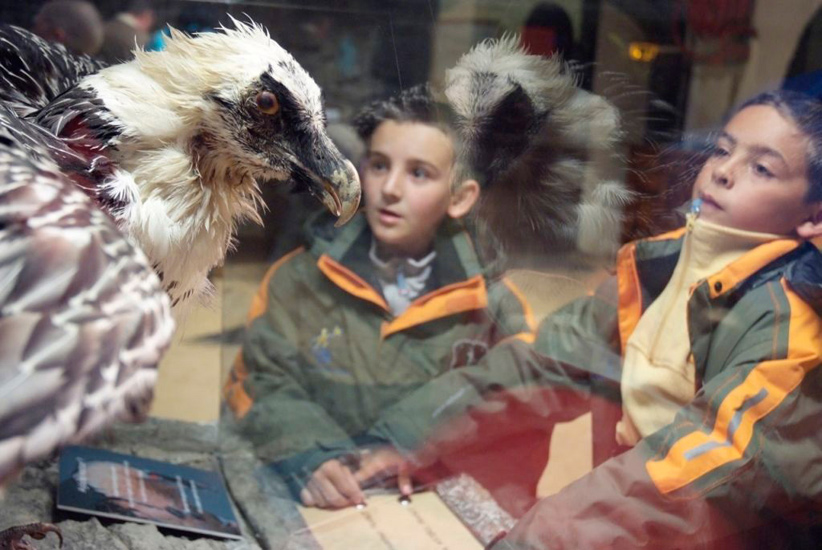 L’aigle à 2 têtes ! (Morgan et Valentin)