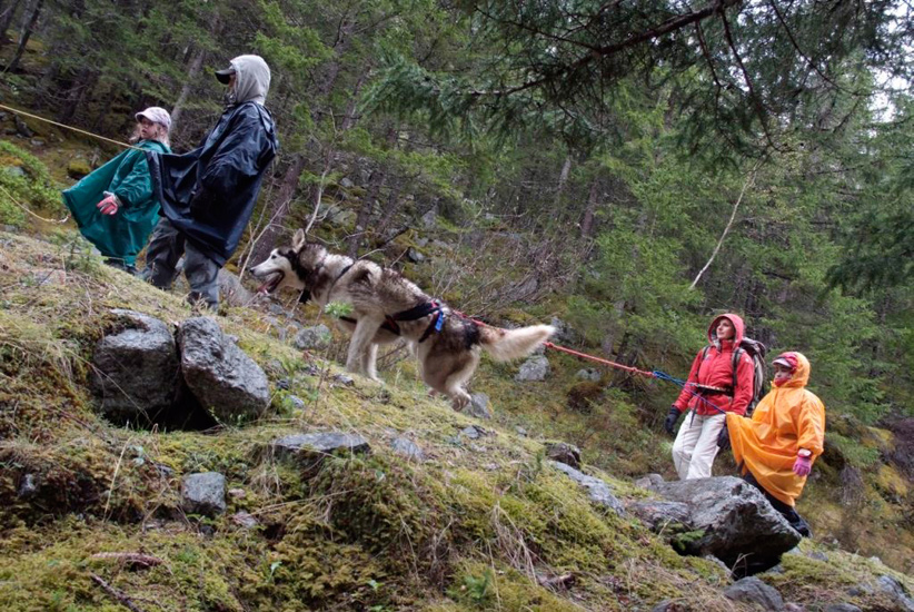 Pour sûr, ça mushe en sentes boisées ! Ventres à terre et rotules surchauffées, on en avale des distances…