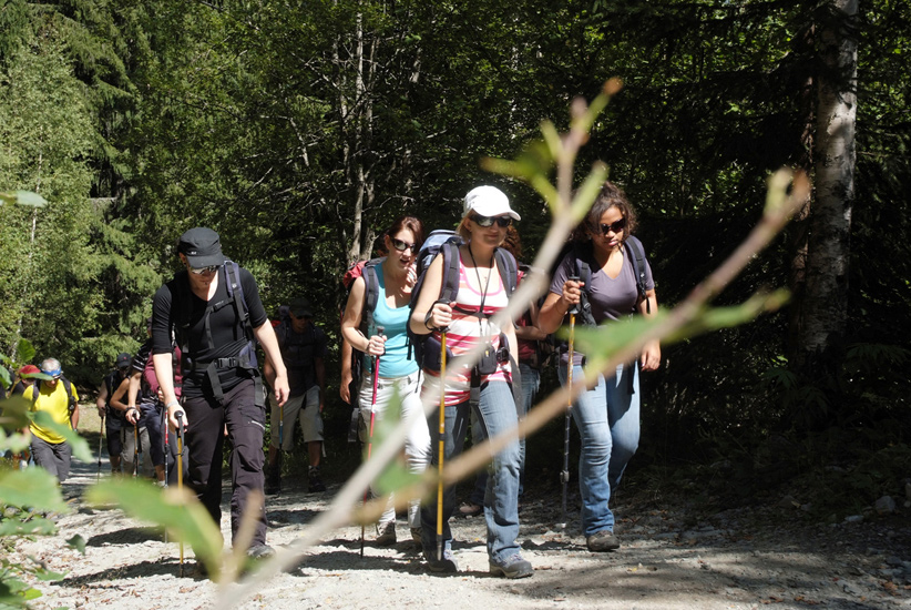 Promenons-nous dans les bois …