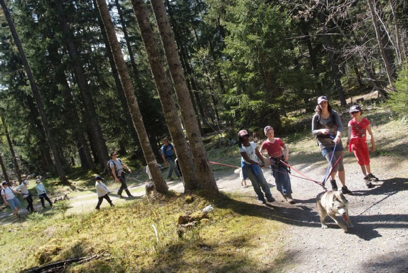 C’est reparti sur le sentier du bois du Bouchet !