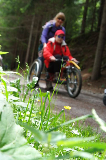 Petit manège en sentier ! (Béatrice et Louis)