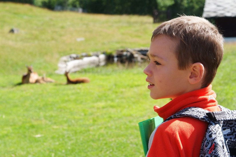 Regard de biche ! Alexis contemplant avant de repartir le merveilleux spectacle !