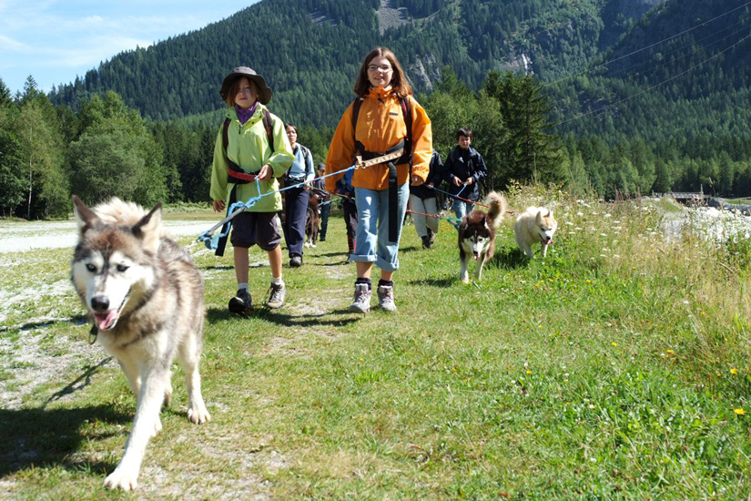 Dernière ligne droite et les huskies vont pouvoir se reposer !