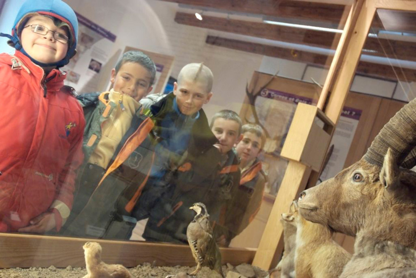 Vitrines de Noé ! Tous les animaux des montagnes sous nos yeux !