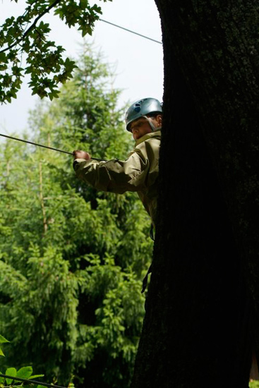 Tronc-binoscope ! Le visage de Daniel apparaît au milieu des branches !