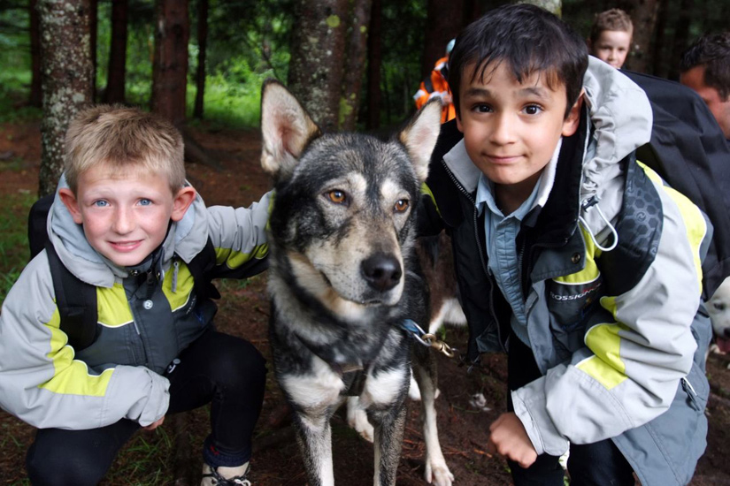 Il est maintenant l’heure de notre rencontre canine et câline !