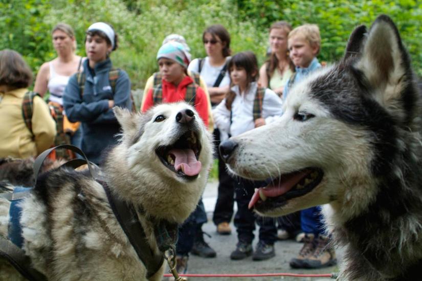 Le temps de chien s’est apaisé ! Tous à la cani-rando…