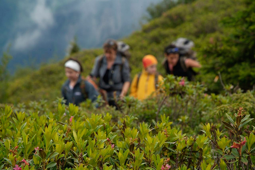 Seuls au milieu de la végétation alpine, nous trouvons les ressources pour profiter de tout ce qui nous entoure !