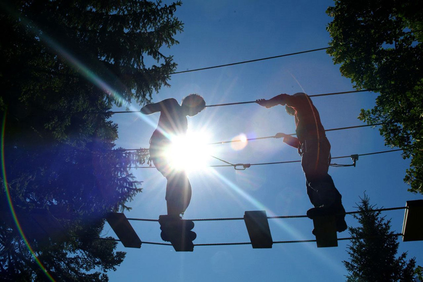 C’est quand même très pratique ces ponts de singes pour circuler d’arbre en arbre !