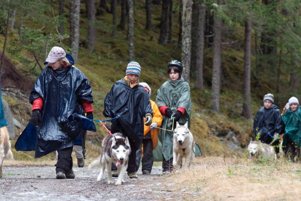 Revigorés, on repartit de plus belle, sous les mélèzes gouttants et une pluie opiniâtre…