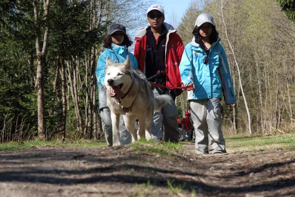 Et un, et deux, et trois champions pour un husky !!! (Louisa, Hamza et Maëlys)