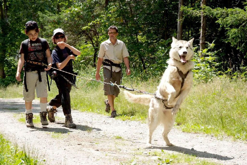 C’est pas un chien, c’est une fusée qu’ils nous ont donnée !