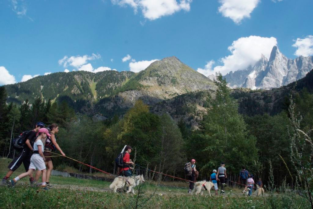 Au pied des Drues, la longue file de mushers s’étend…