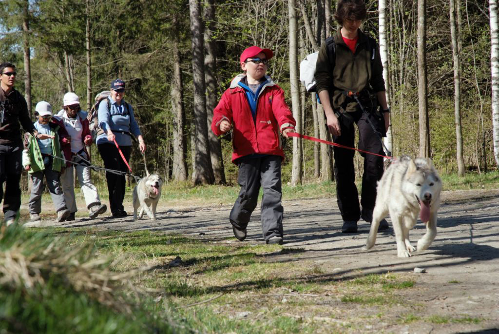 Ils s’en rappelleront de cette journée les huskies, leur langue va bientôt toucher terre ! (Dimitri et Romain)