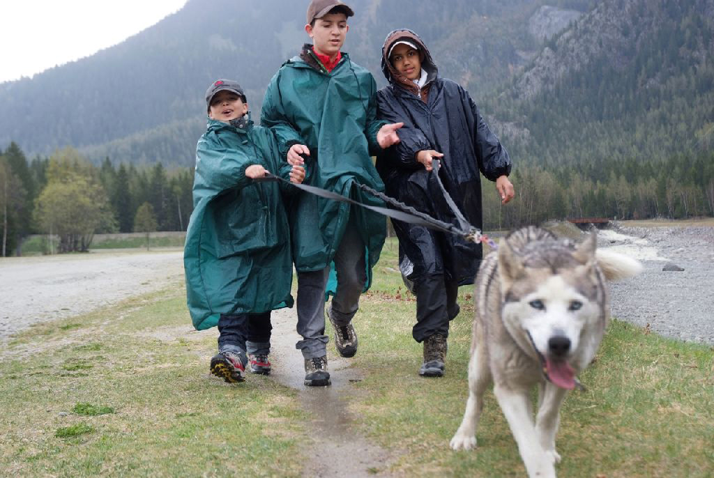 Trois costauds pour un husky.