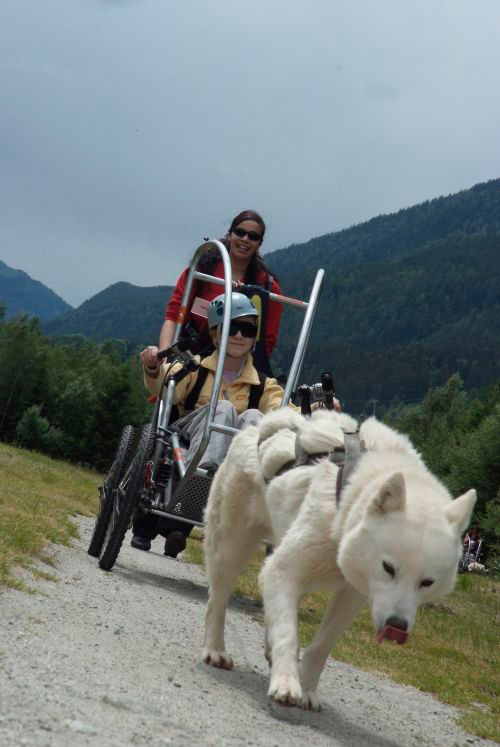 Des loups blancs en guise de turbo, c’est pas du banal dans notre contrée ! (Donia et Estelle)