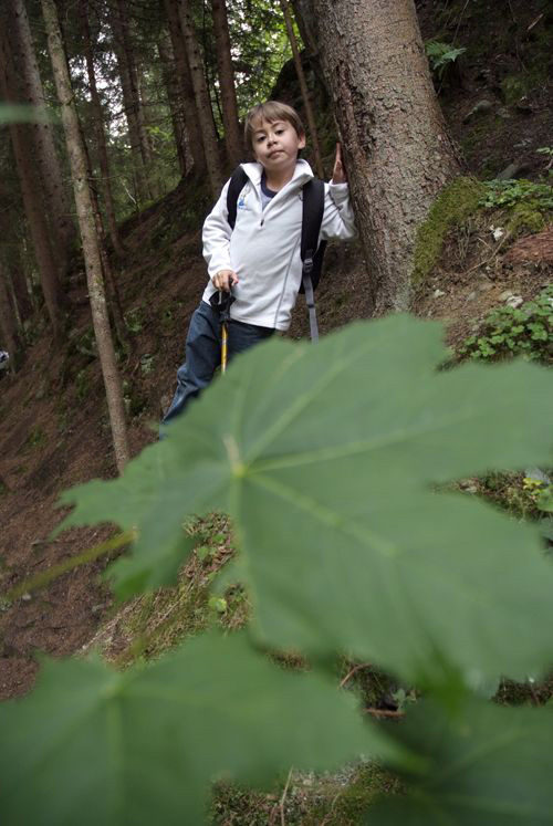 Ce n’est pas parce qu’il n’y a pas de neige que l’on ne peut pas faire du slalom entre les arbres ! (Louis)