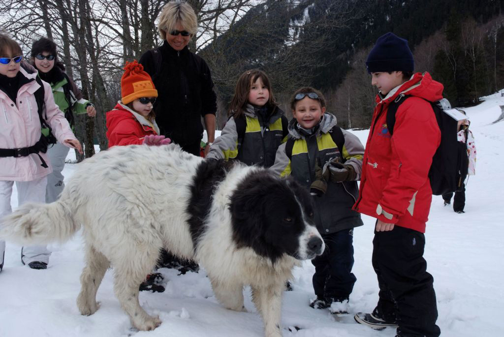 On fait toutes sortes de rencontre à Chamonix ! (Leslie, Laura, Aliénor, Louna, Mellina et Simon)