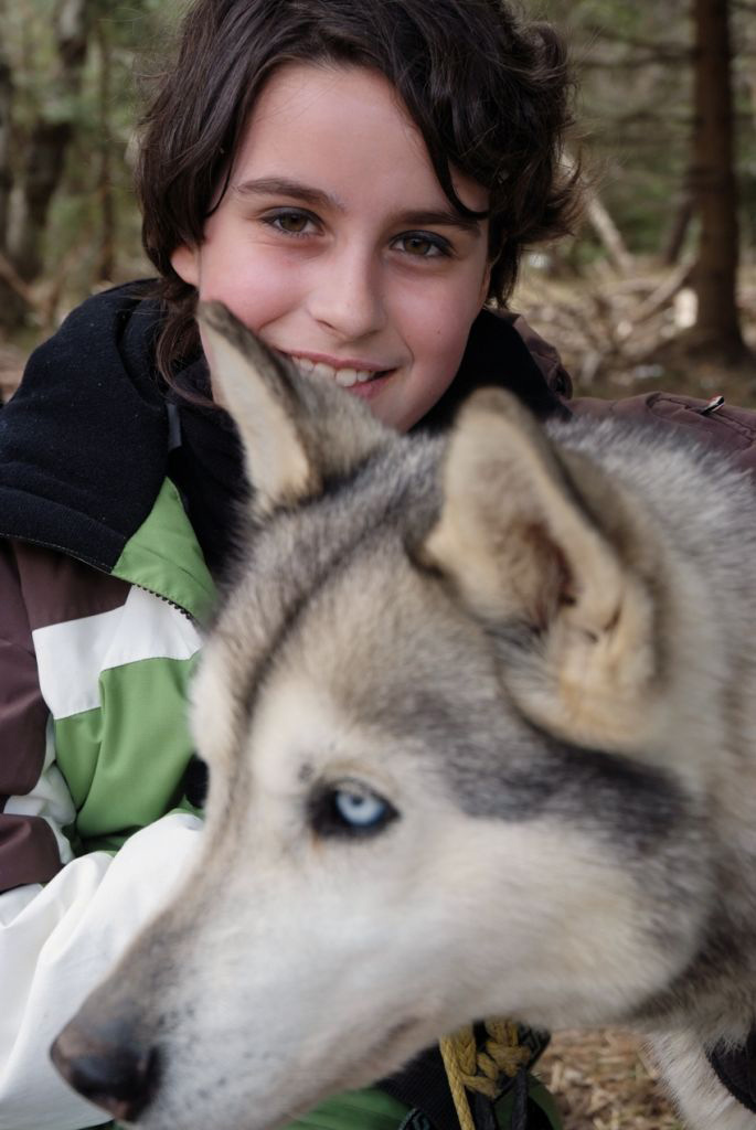 Pas moyen de faire un portrait tranquillement, ces huskies veulent toujours être au premier plan ! (Cassie Mary)