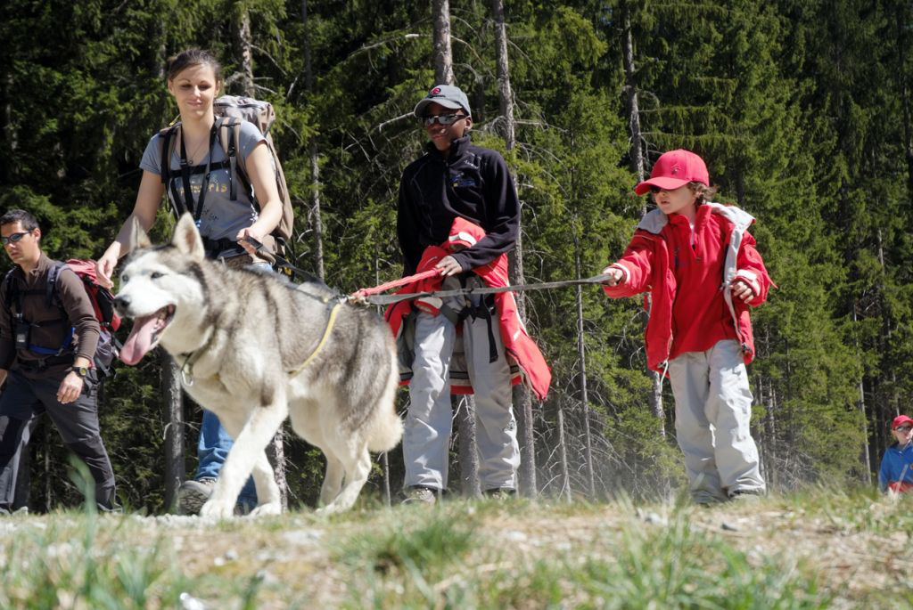 Allez, on s’arrête pour ce matin mais quelle belle cani-rando on a eu ! (Brandy et Bertrand)