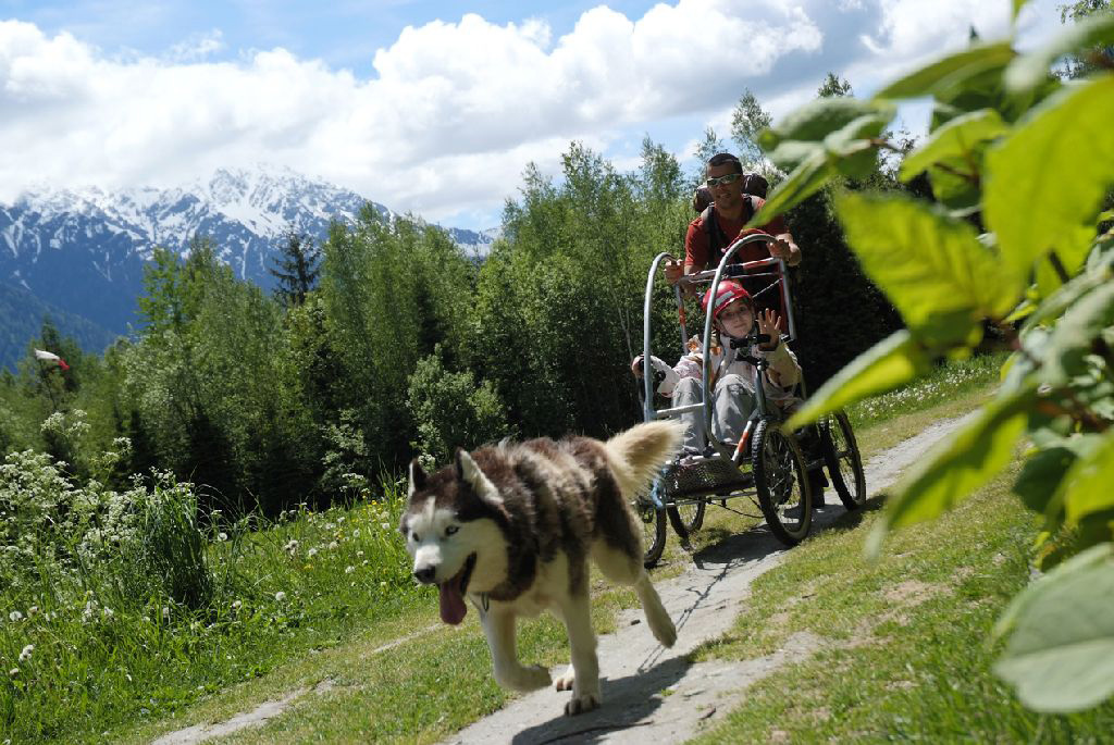 Les montagnes, les arbres, quel beau paysage pour Estelle !