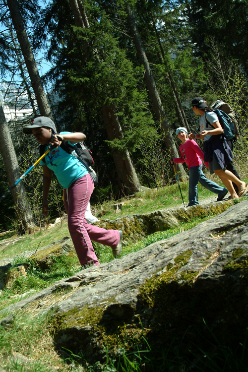 Allez, un petit tour dans la forêt maintenant. Allons chercher un peu d’ombre ! (Ophélie et Alexia).