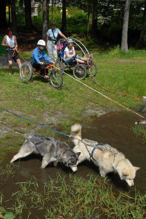 Pause incontournable messieurs les chiens ont soif