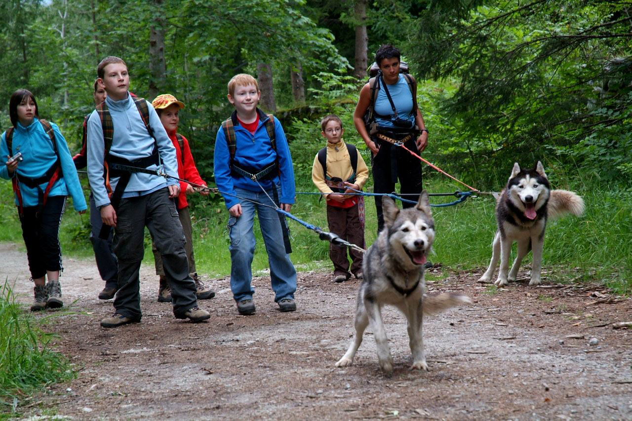 On vous présente en exclusivité mondiale nos toutes dernières Husky  2007 !
