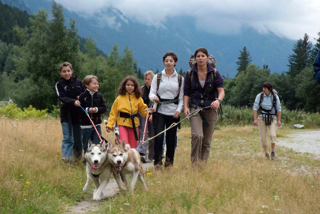 Quand deux huskies s’entendent trop bien, impossible de les séparer ! (Vincent, Louis, Louisa et Sarah)