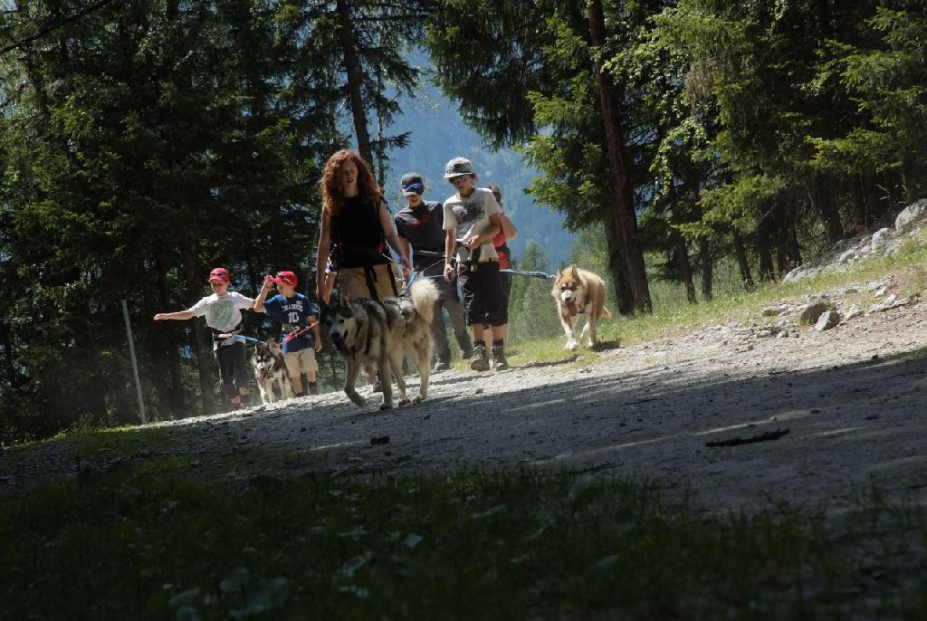 Un peu d’ombre enfin sur le chemin du bois du Bouchet