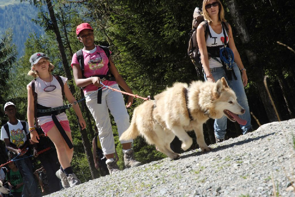 C’est surtout dur pour les chiens !