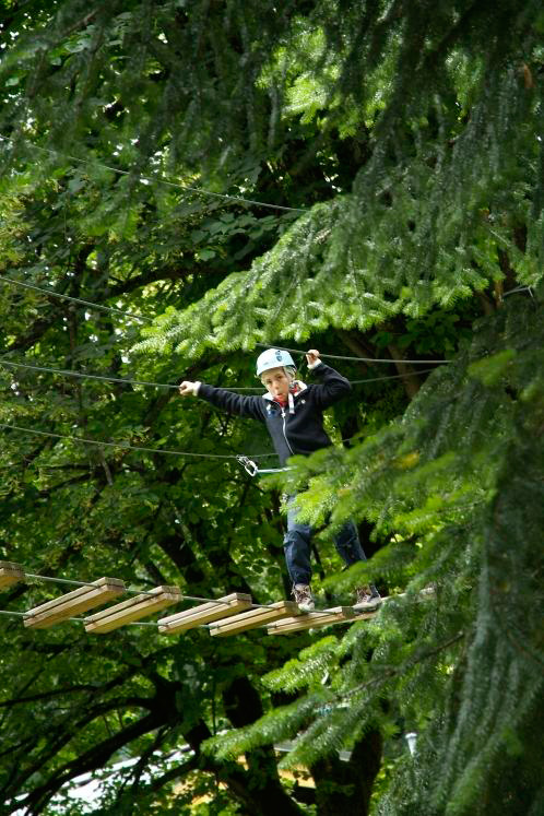 Passage épineux ! Lise, s’en sort au milieu des mélèzes !
