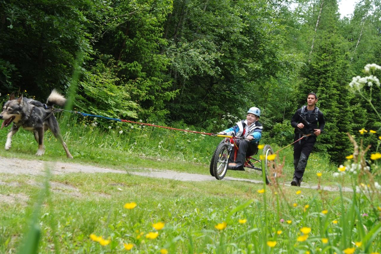 Fauteuil tout terrain et chiot à l’élastique ! (Florian)